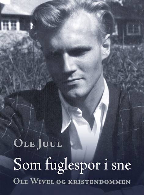 som_fuglespor_i_sne.jpg