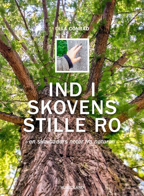 ind_i_skovens_stille_ro.jpg