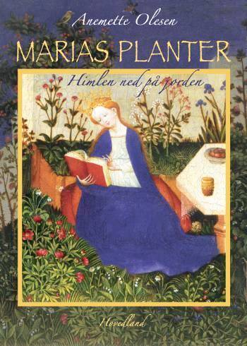 marias_planter.jpg