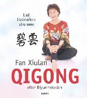 Qigong_efter_Biyunmetoden.jpg
